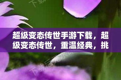 超级变态传世手游下载，超级变态传世，重温经典，挑战极限