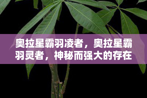 奥拉星霸羽凌者,奥拉星霸羽灵者,神秘而强大的存在 奥拉星霸羽凌者,奥拉星霸羽灵者,神秘而强大的存在