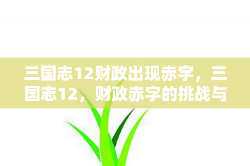 三国志12财政出现赤字,三国志12,财政赤字的挑战与应对策略 三国志12财政出现赤字,三国志12,财政赤字的挑战与应对策略