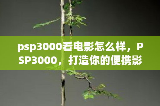 psp3000看电影怎么样，PSP3000，打造你的便携影院