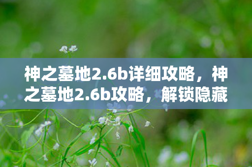 神之墓地2.6b详细攻略，神之墓地2.6b攻略，解锁隐藏关卡与角色，打造无敌阵容