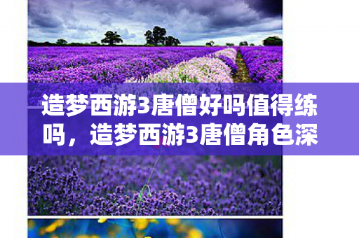 造梦西游3唐僧好吗值得练吗，造梦西游3唐僧角色深度解析，佛系慈悲，法力无边的取经之旅