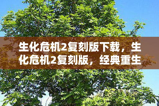 生化危机2复刻版下载,生化危机2复刻版,经典重生的恐怖之旅 生化危机2复刻版下载,生化危机2复刻版,经典重生的恐怖之旅