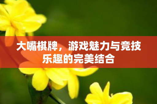 大嘴棋牌,游戏魅力与竞技乐趣的完美结合 大嘴棋牌,游戏魅力与竞技乐趣的完美结合