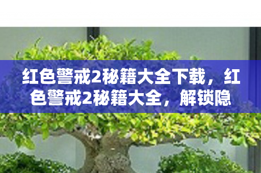 红色警戒2秘籍大全下载，红色警戒2秘籍大全，解锁隐藏功能，提升游戏策略