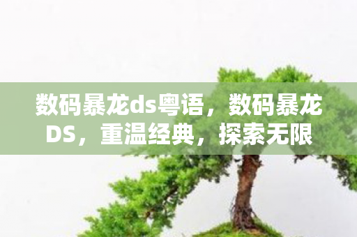 数码暴龙ds粤语,数码暴龙DS,重温经典,探索无限可能 数码暴龙ds粤语,数码暴龙DS,重温经典,探索无限可能