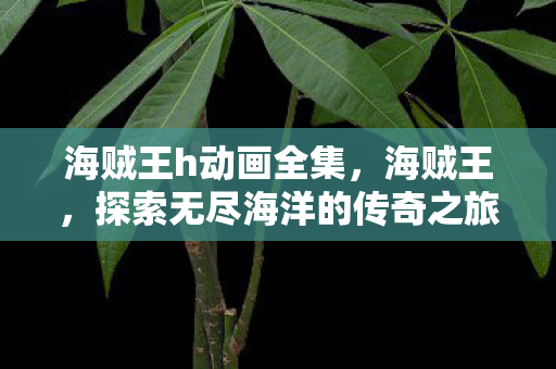 海贼王h动画全集,海贼王,探索无尽海洋的传奇之旅 海贼王h动画全集,海贼王,探索无尽海洋的传奇之旅