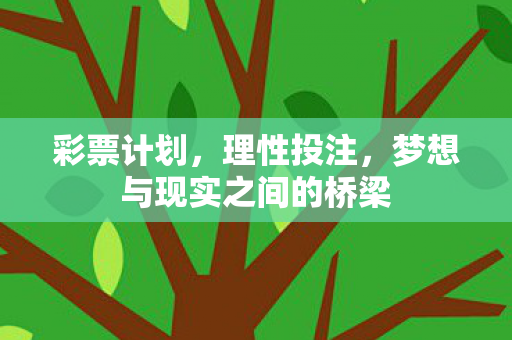 彩票计划，理性投注，梦想与现实之间的桥梁