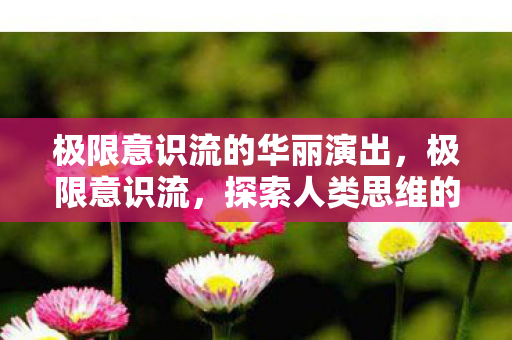 极限意识流的华丽演出，极限意识流，探索人类思维的边界