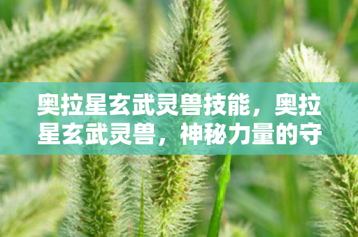 奥拉星玄武灵兽技能,奥拉星玄武灵兽,神秘力量的守护者 奥拉星玄武灵兽技能,奥拉星玄武灵兽,神秘力量的守护者