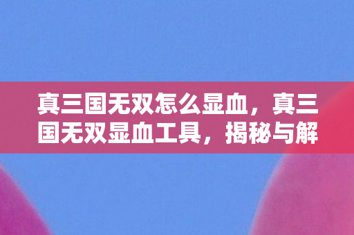 真三国无双怎么显血，真三国无双显血工具，揭秘与解析