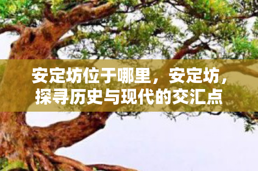 安定坊位于哪里,安定坊,探寻历史与现代的交汇点 安定坊位于哪里,安定坊,探寻历史与现代的交汇点