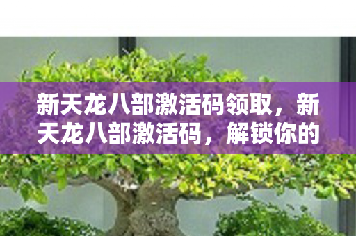 新天龙八部激活码领取,新天龙八部激活码,解锁你的武侠梦 新天龙八部激活码领取,新天龙八部激活码,解锁你的武侠梦