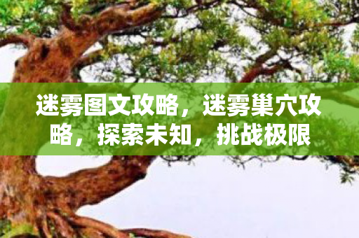 迷雾图文攻略,迷雾巢穴攻略,探索未知,挑战极限 迷雾图文攻略,迷雾巢穴攻略,探索未知,挑战极限