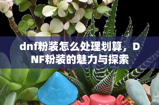 dnf粉装怎么处理划算,DNF粉装的魅力与探索 dnf粉装怎么处理划算,DNF粉装的魅力与探索