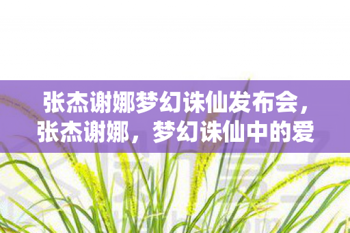 张杰谢娜梦幻诛仙发布会，张杰谢娜，梦幻诛仙中的爱情传奇