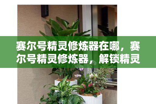 赛尔号精灵修炼器在哪，赛尔号精灵修炼器，解锁精灵潜能，打造最强战斗团队