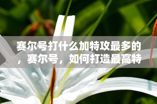 赛尔号打什么加特攻最多的，赛尔号，如何打造最高特攻的精灵组合？