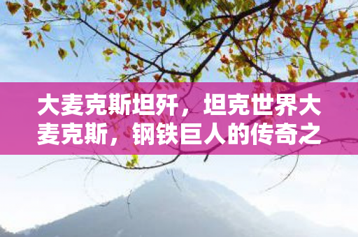 大麦克斯坦歼，坦克世界大麦克斯，钢铁巨人的传奇之旅