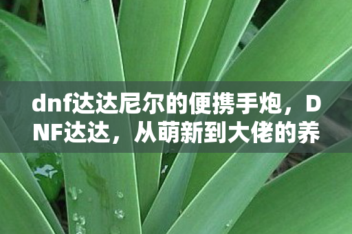 dnf达达尼尔的便携手炮,DNF达达,从萌新到大佬的养成之路 dnf达达尼尔的便携手炮,DNF达达,从萌新到大佬的养成之路