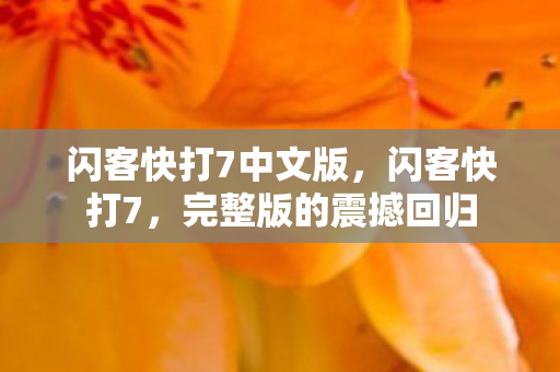 闪客快打7中文版,闪客快打7,完整版的震撼回归 闪客快打7中文版,闪客快打7,完整版的震撼回归