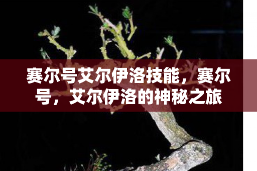 赛尔号艾尔伊洛技能,赛尔号,艾尔伊洛的神秘之旅 赛尔号艾尔伊洛技能,赛尔号,艾尔伊洛的神秘之旅