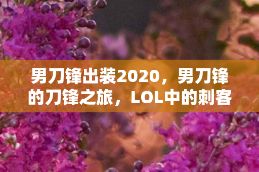 男刀锋出装2020,男刀锋的刀锋之旅,LOL中的刺客传奇 男刀锋出装2020,男刀锋的刀锋之旅,LOL中的刺客传奇