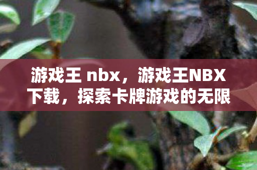 游戏王 nbx,游戏王NBX下载,探索卡牌游戏的无限可能 游戏王 nbx,游戏王NBX下载,探索卡牌游戏的无限可能