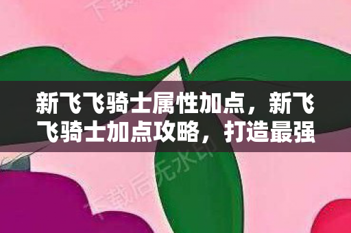 新飞飞骑士属性加点，新飞飞骑士加点攻略，打造最强骑士的秘诀