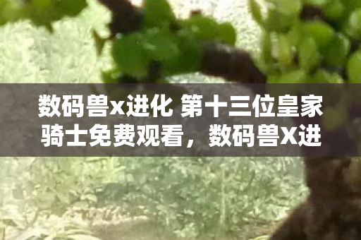 数码兽x进化 第十三位皇家骑士免费观看，数码兽X进化，第十三位皇家骑士的传奇