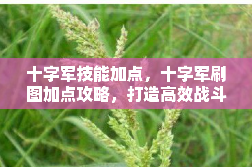 十字军技能加点,十字军刷图加点攻略,打造高效战斗力的关键 十字军技能加点,十字军刷图加点攻略,打造高效战斗力的关键