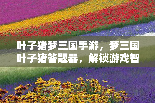 叶子猪梦三国手游,梦三国叶子猪答题器,解锁游戏智慧的钥匙 叶子猪梦三国手游,梦三国叶子猪答题器,解锁游戏智慧的钥匙