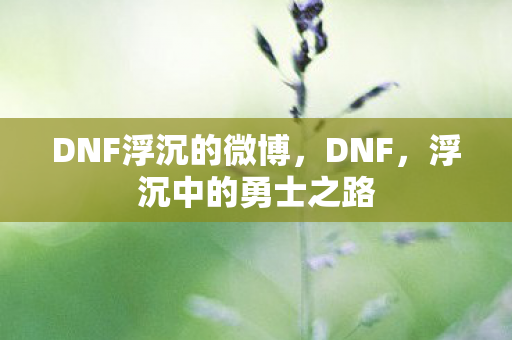 DNF浮沉的微博,DNF,浮沉中的勇士之路 DNF浮沉的微博,DNF,浮沉中的勇士之路