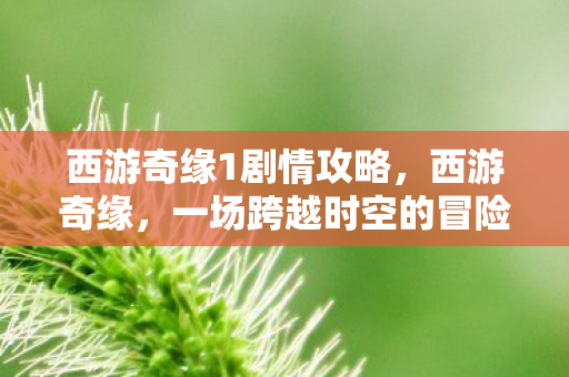 西游奇缘1剧情攻略,西游奇缘,一场跨越时空的冒险之旅 西游奇缘1剧情攻略,西游奇缘,一场跨越时空的冒险之旅
