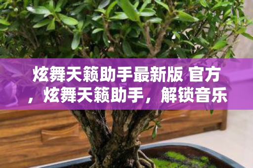 炫舞天籁助手最新版 官方,炫舞天籁助手,解锁音乐与舞蹈的无限可能 炫舞天籁助手最新版 官方,炫舞天籁助手,解锁音乐与舞蹈的无限可能