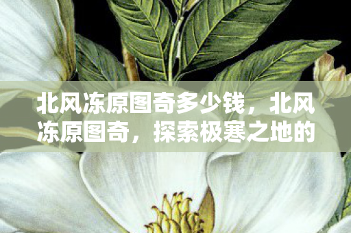 北风冻原图奇多少钱,北风冻原图奇,探索极寒之地的神秘奇观 北风冻原图奇多少钱,北风冻原图奇,探索极寒之地的神秘奇观