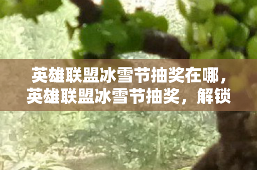 英雄联盟冰雪节抽奖在哪,英雄联盟冰雪节抽奖,解锁你的幸运时刻 英雄联盟冰雪节抽奖在哪,英雄联盟冰雪节抽奖,解锁你的幸运时刻