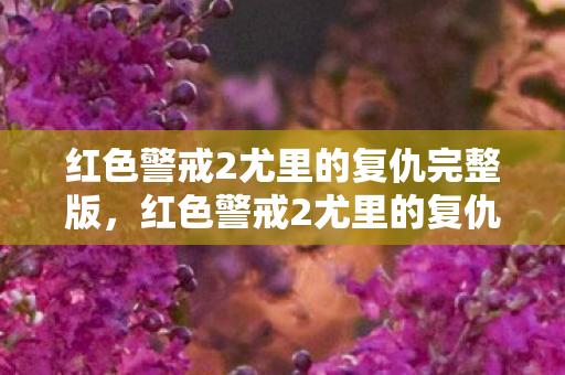 红色警戒2尤里的复仇完整版，红色警戒2尤里的复仇中文版，重温经典，再战未来