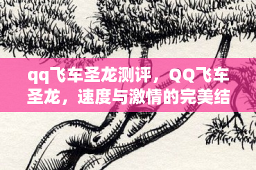 qq飞车圣龙测评,QQ飞车圣龙,速度与激情的完美结合 qq飞车圣龙测评,QQ飞车圣龙,速度与激情的完美结合