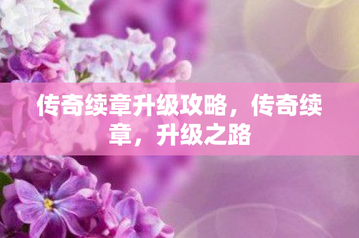 传奇续章升级攻略，传奇续章，升级之路