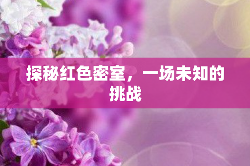 探秘红色密室,一场未知的挑战 探秘红色密室,一场未知的挑战