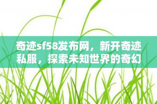 奇迹sf58发布网,新开奇迹私服,探索未知世界的奇幻之旅 奇迹sf58发布网,新开奇迹私服,探索未知世界的奇幻之旅