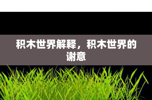 积木世界解释,积木世界的谢意 积木世界解释,积木世界的谢意