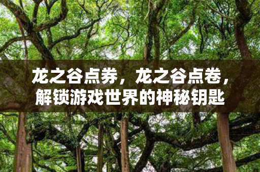 龙之谷点券,龙之谷点卷,解锁游戏世界的神秘钥匙 龙之谷点券,龙之谷点卷,解锁游戏世界的神秘钥匙