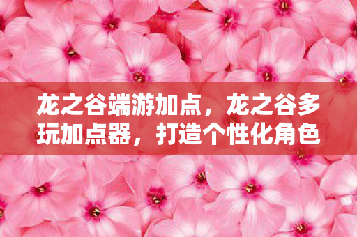 龙之谷端游加点,龙之谷多玩加点器,打造个性化角色,提升游戏体验 龙之谷端游加点,龙之谷多玩加点器,打造个性化角色,提升游戏体验