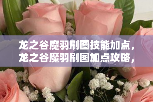 龙之谷魔羽刷图技能加点,龙之谷魔羽刷图加点攻略,打造高效战斗体验 龙之谷魔羽刷图技能加点,龙之谷魔羽刷图加点攻略,打造高效战斗体验