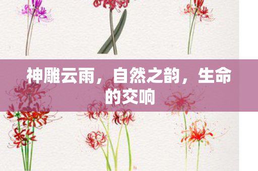神雕云雨,自然之韵,生命的交响 神雕云雨,自然之韵,生命的交响