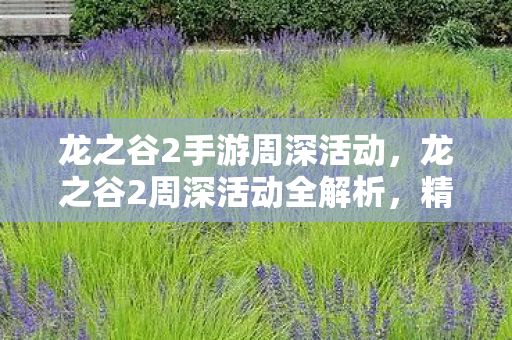 龙之谷2手游周深活动，龙之谷2周深活动全解析，精彩亮点与参与指南