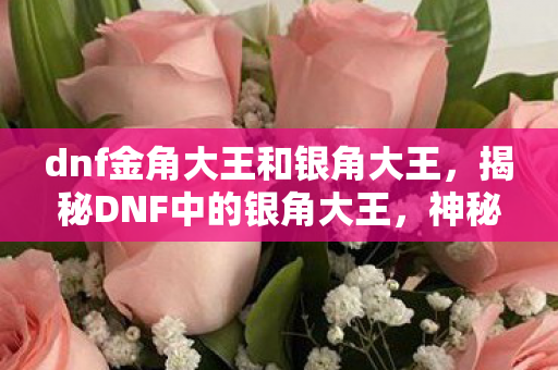 dnf金角大王和银角大王,揭秘DNF中的银角大王,神秘角色背后的故事 dnf金角大王和银角大王,揭秘DNF中的银角大王,神秘角色背后的故事