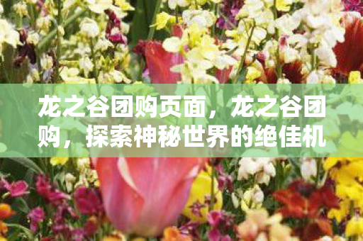 龙之谷团购页面，龙之谷团购，探索神秘世界的绝佳机会
